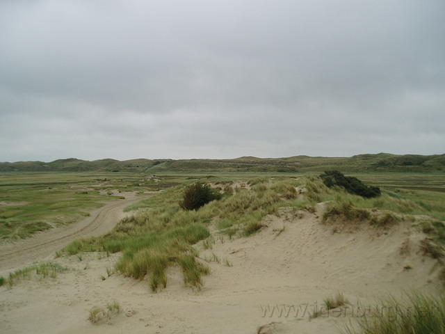 P8310023x.jpg