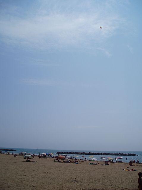 P8070054.JPG