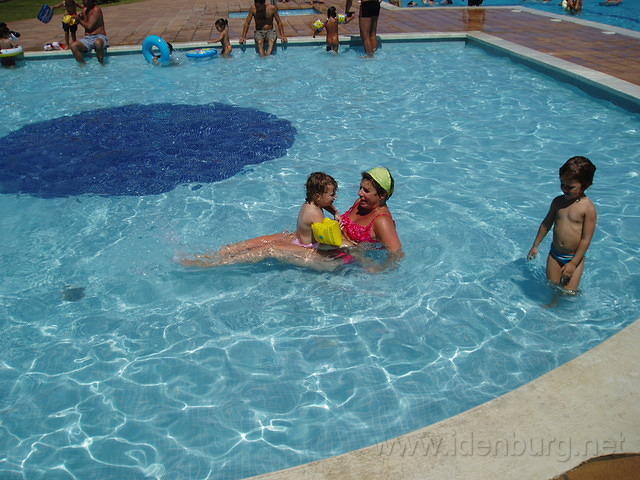 Waterpaardje