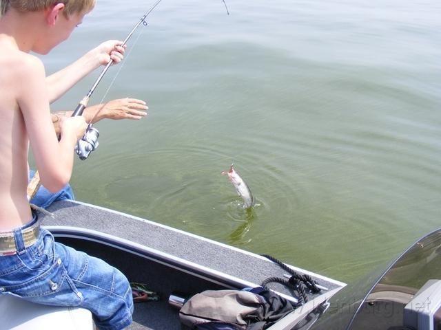 DSCF0361.JPG