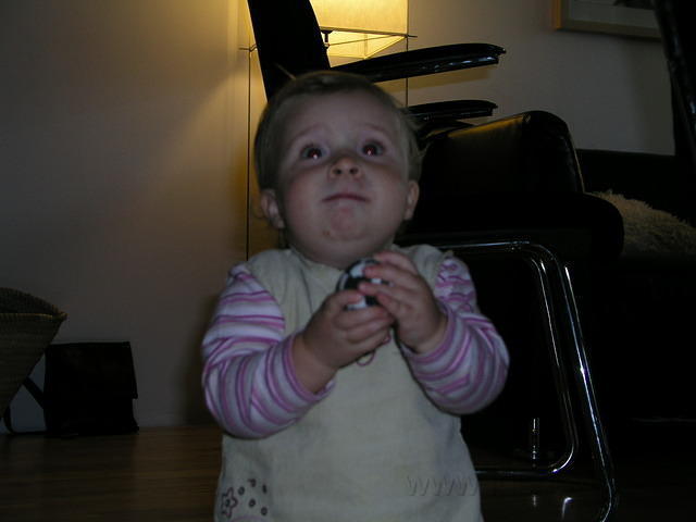 PA060113.JPG