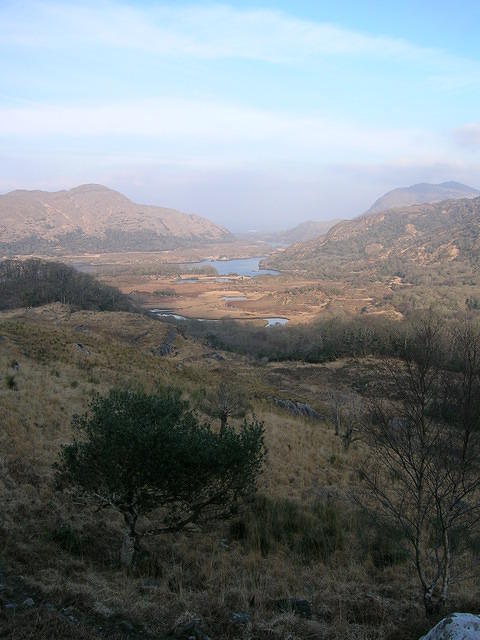 2007-02-10 Selma, Ierland 054.jpg