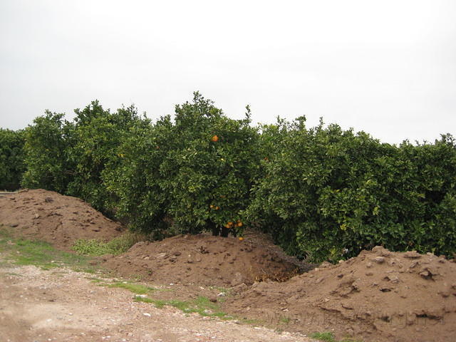 2008SpanjeSelma1_068