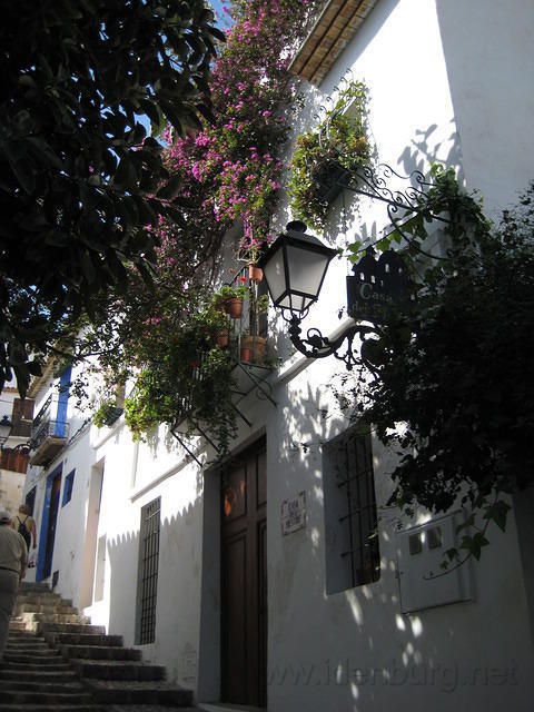 2008SpanjeSelma1_116