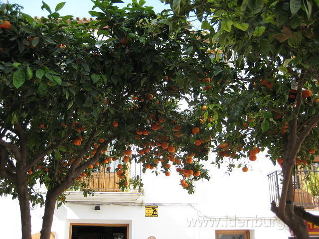 2008SpanjeSelma1_130