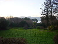 Ierland tot 5-2 - 002.jpg