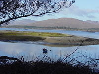 Ierland tot 5-2 - 004.jpg