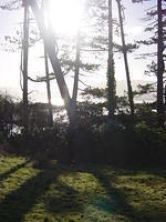 Ierland tot 5-2 - 013.jpg