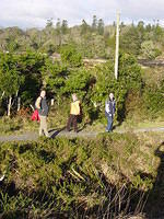 Ierland tot 5-2 - 018.jpg