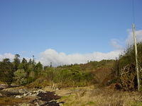 Ierland tot 5-2 - 020.jpg