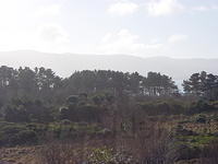 Ierland tot 5-2 - 023.jpg