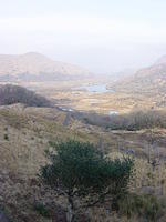 Ierland tot 5-2 - 071.jpg