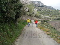 2008SpanjeIneke 039.jpg