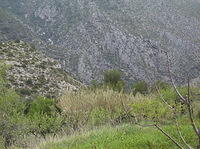2008SpanjeIneke 041.jpg
