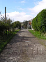 ReintMaart1 038.jpg