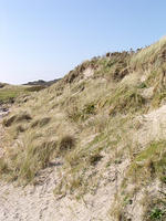 ReintMaart1 058.jpg
