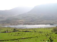 ReintMaart2 006.jpg