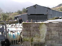 ReintMaart2 007.jpg