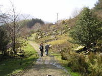 ReintMaart2 009.jpg