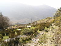 ReintMaart2 010.jpg
