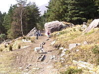 ReintMaart2 012.jpg