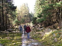 ReintMaart2 013.jpg