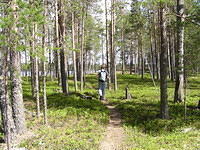 P6230236.jpg