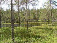 P6230238.jpg