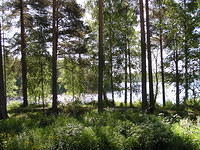P6240241.jpg