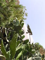 P6010203.JPG