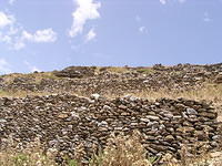 P6010215.JPG