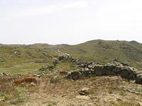 P6020233.JPG
