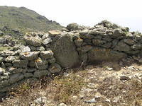 P6020234.JPG