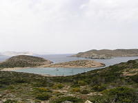 P6020235.JPG
