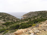 P6020236.JPG