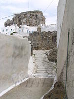 P6020244.JPG