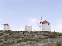 P6020254.JPG
