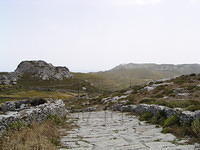 P6020255.JPG