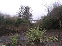 De Tuin