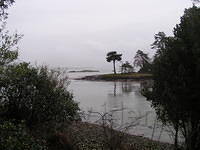 Wandeling in de omgeving
