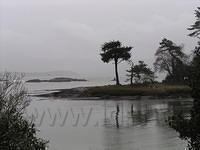Wandeling in de omgeving