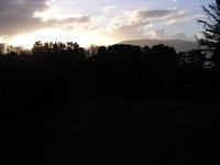 De Tuin