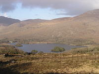 Lady's view