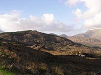 Lady's view
