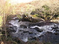 Wandeling over de Kerry way