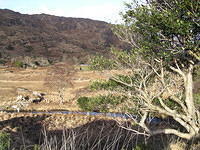 Wandeling over de Kerry way