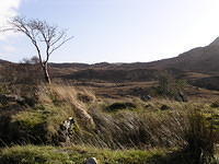 Wandeling over de Kerry way