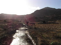 Wandeling over de Kerry way
