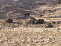 Wandeling over de Kerry way