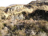 P1100205.JPG